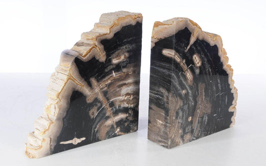 Coppia di fermalibri in legno pietrificato - 53379 - Esotika