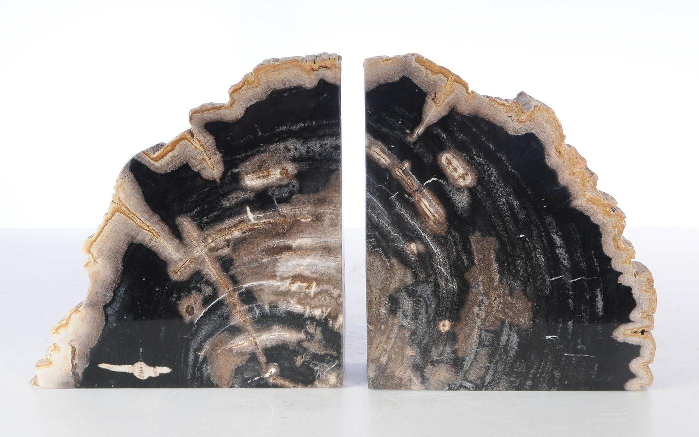 Coppia di fermalibri in legno pietrificato - 53379 - Esotika