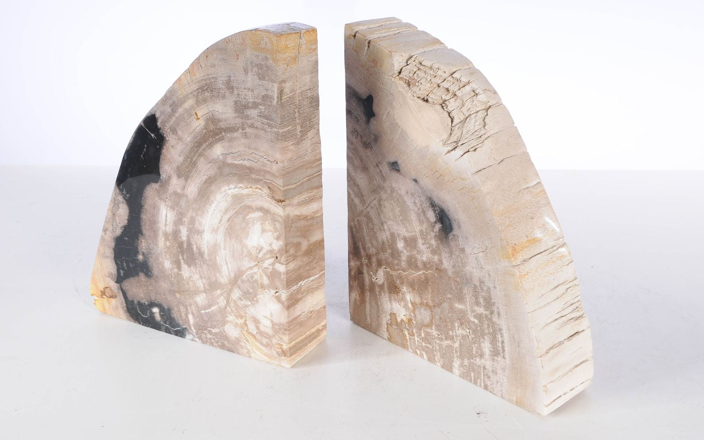 Coppia di fermalibri in legno pietrificato - 53370 - Esotika