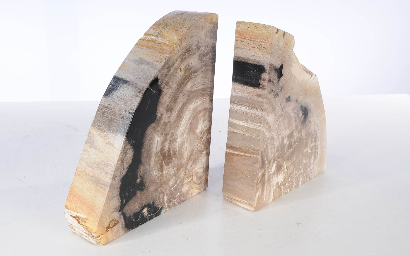 Coppia di fermalibri in legno pietrificato - 53370 - Esotika