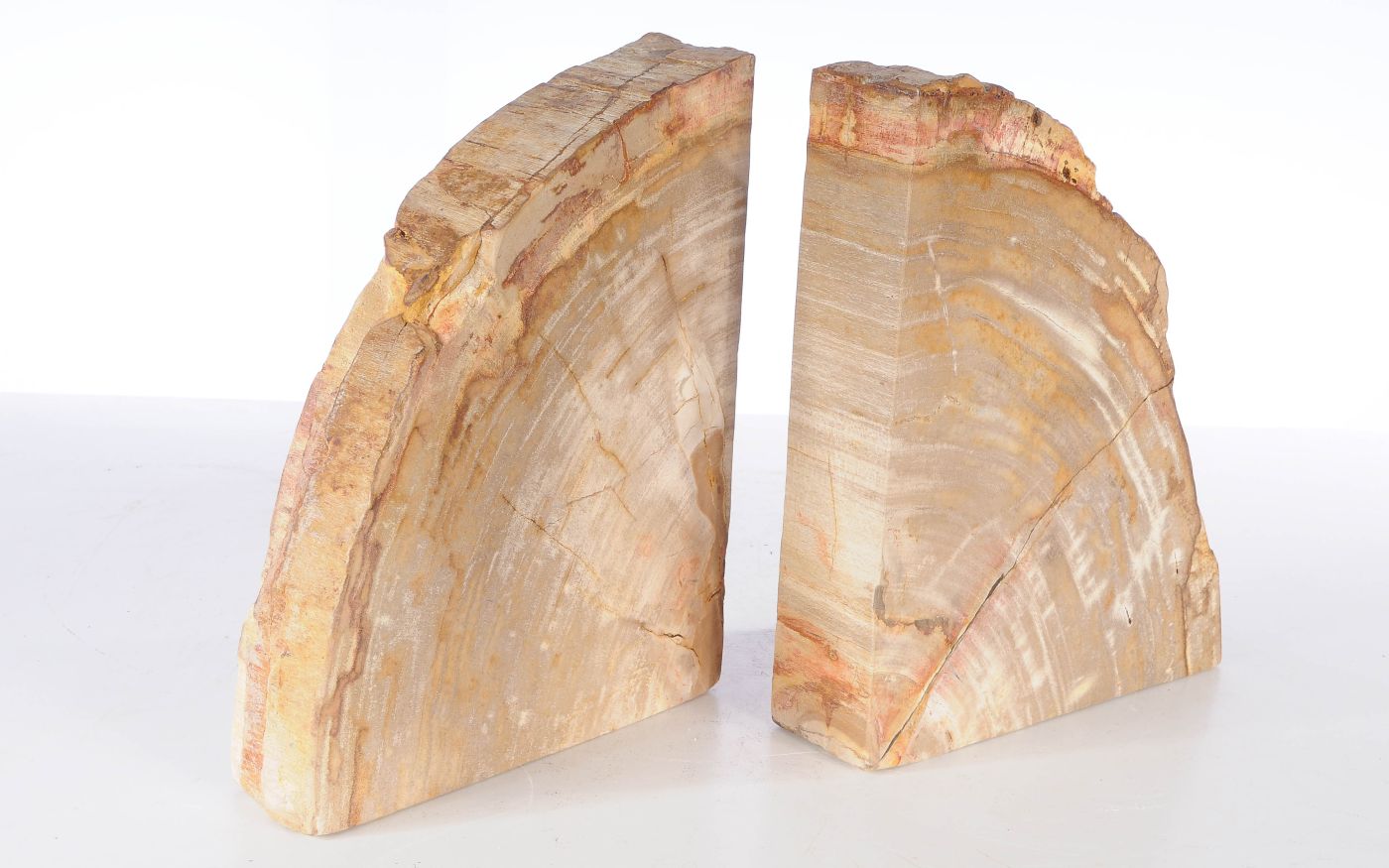 Coppia di fermalibri in legno pietrificato - 53372 - Esotika