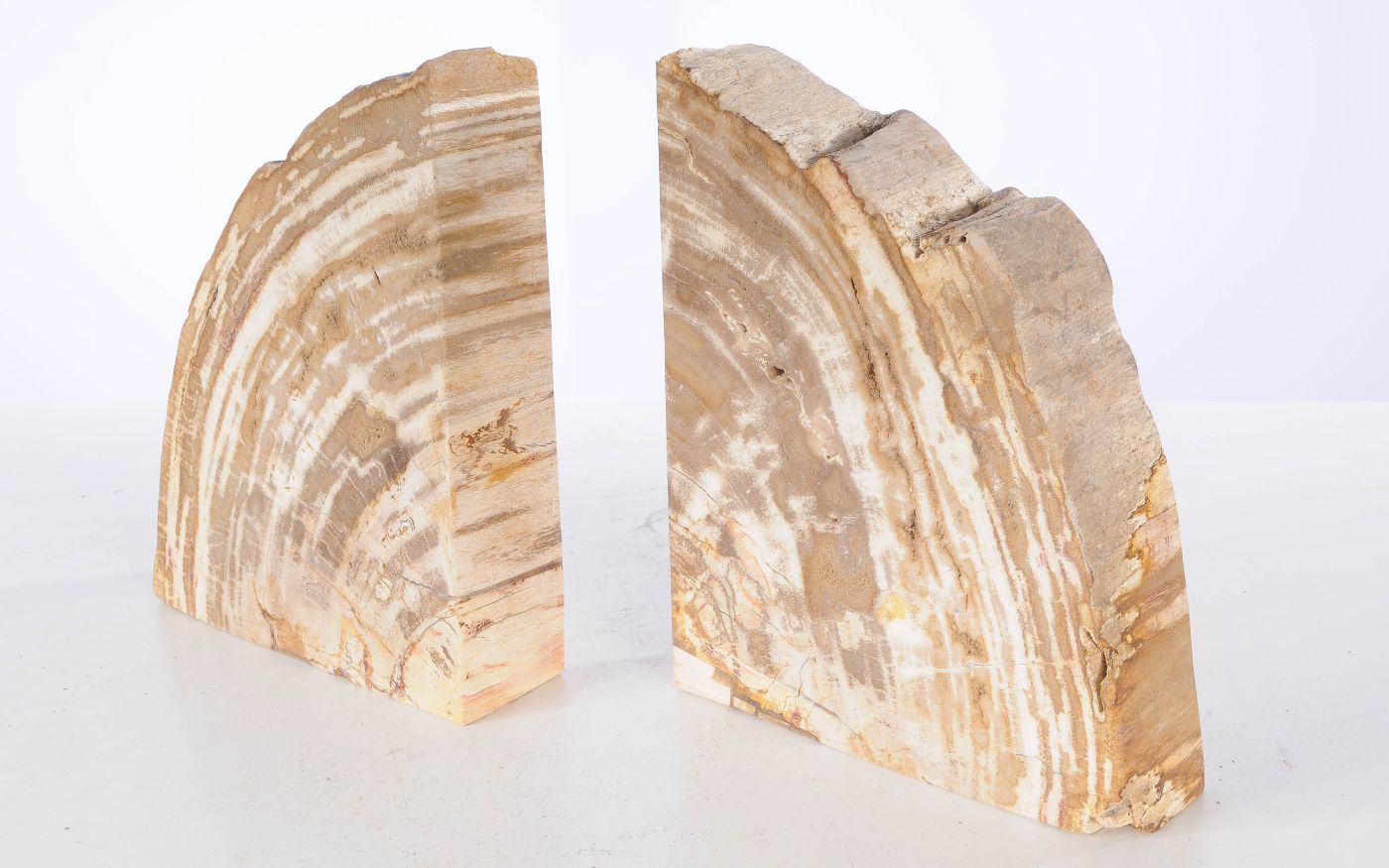 Coppia di fermalibri in legno pietrificato - 53374 - Esotika