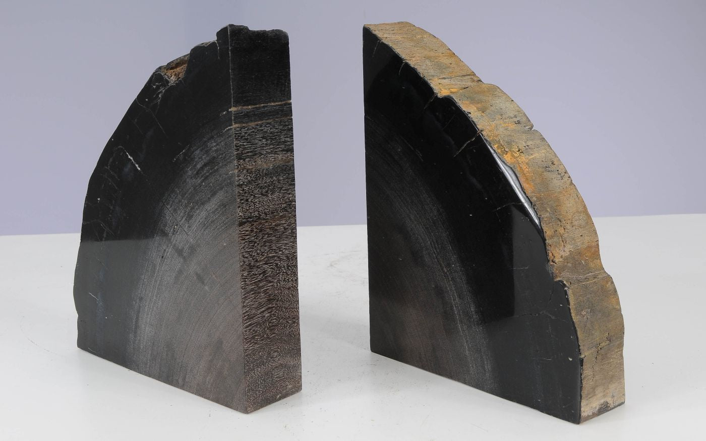 Coppia di fermalibri in legno pietrificato - 53380 - Esotika