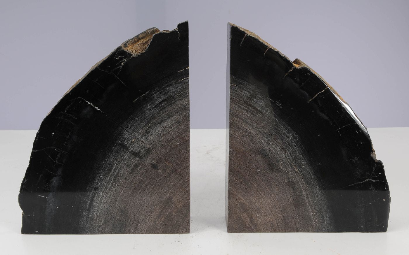 Coppia di fermalibri in legno pietrificato - 53380 - Esotika