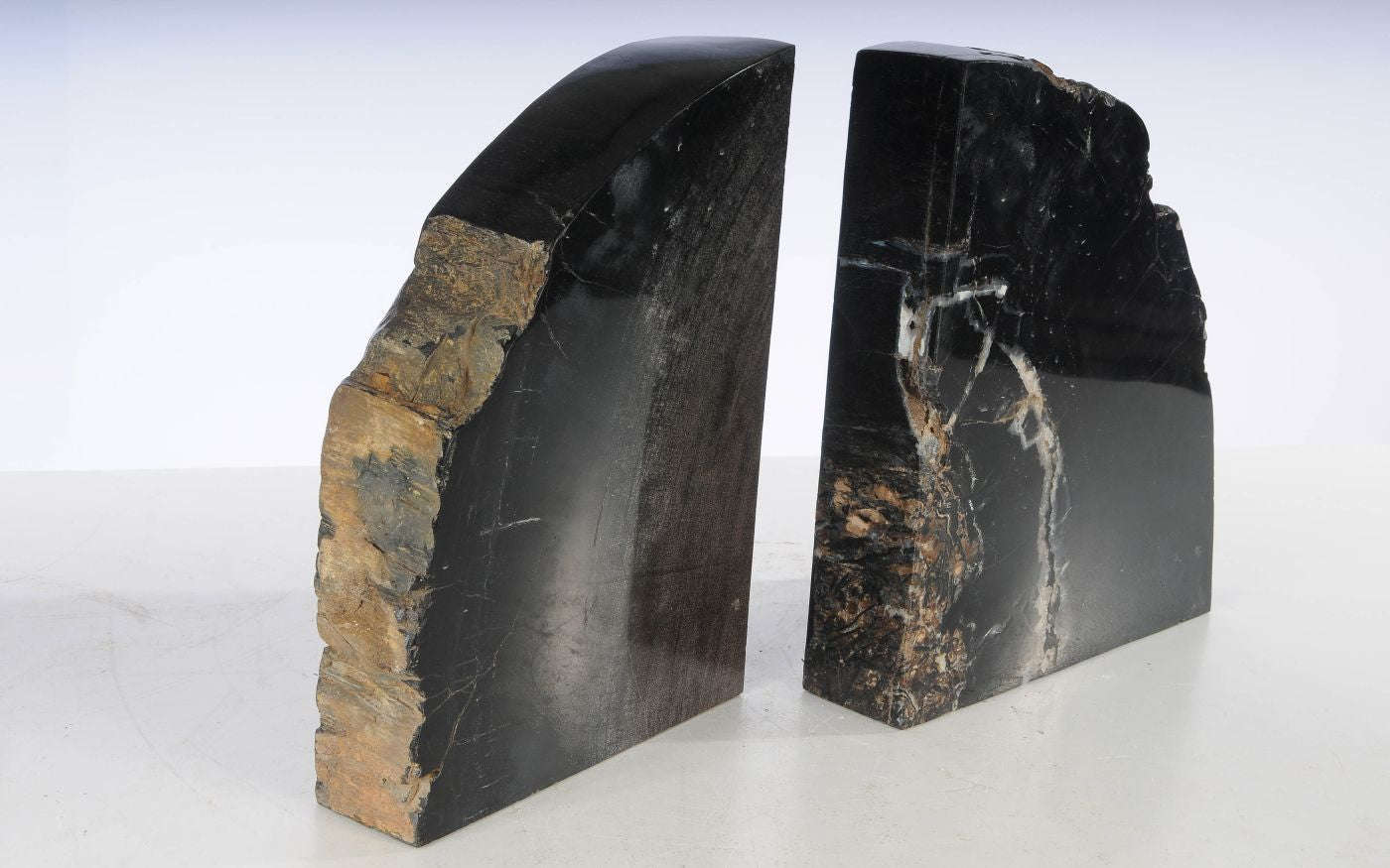 Coppia di fermalibri in legno pietrificato - 53386 - Esotika