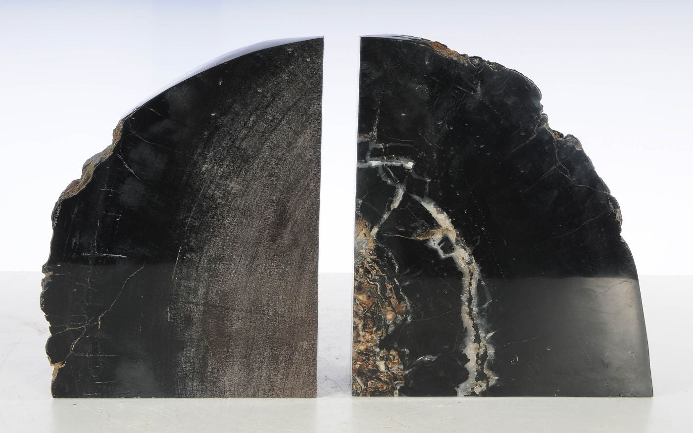 Coppia di fermalibri in legno pietrificato - 53386 - Esotika