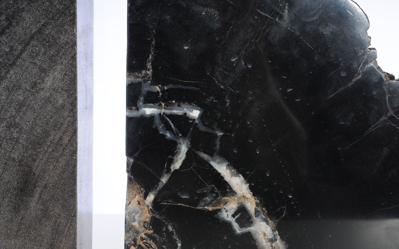 Coppia di fermalibri in legno pietrificato - 53386 - Esotika