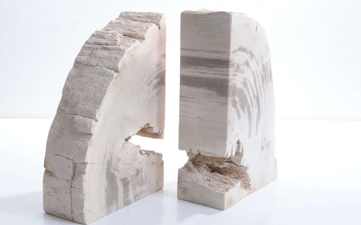 Coppia di fermalibri in legno pietrificato - 42286 - Esotika