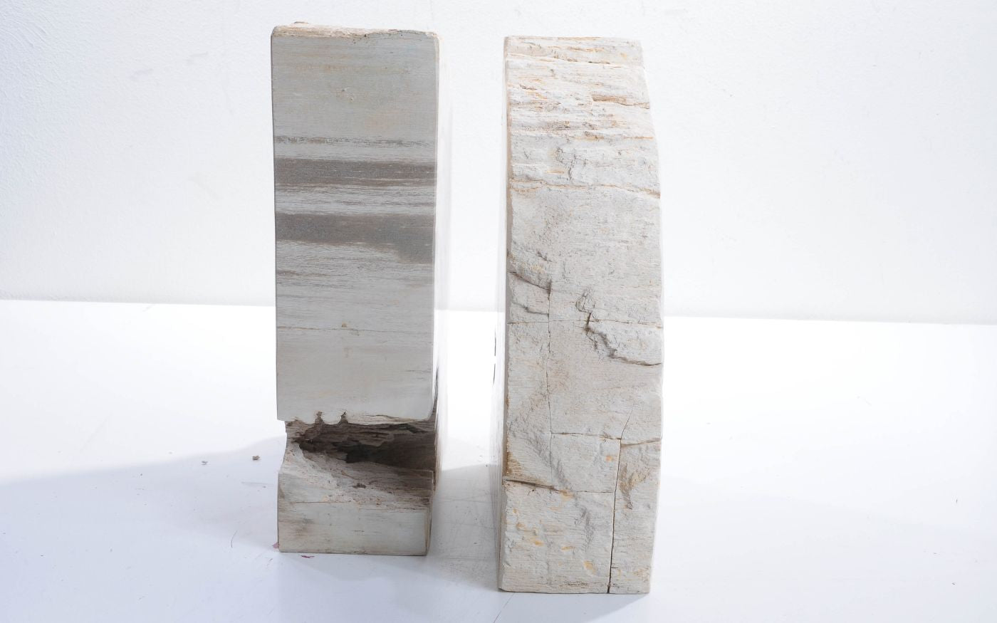 Coppia di fermalibri in legno pietrificato - 42286 - Esotika