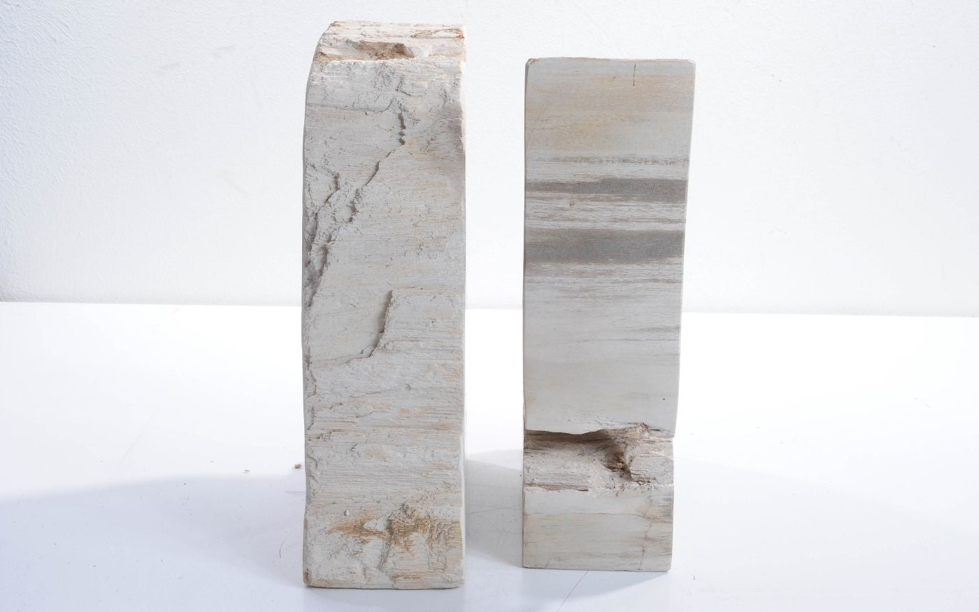 Coppia di fermalibri in legno pietrificato - 42286 - Esotika