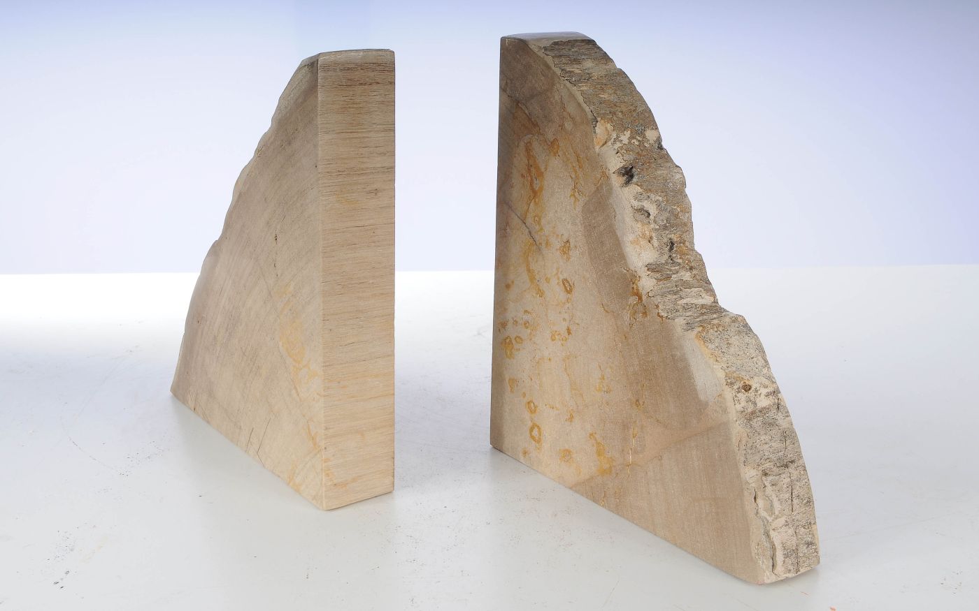 Coppia di fermalibri in legno pietrificato - 53366 - Esotika