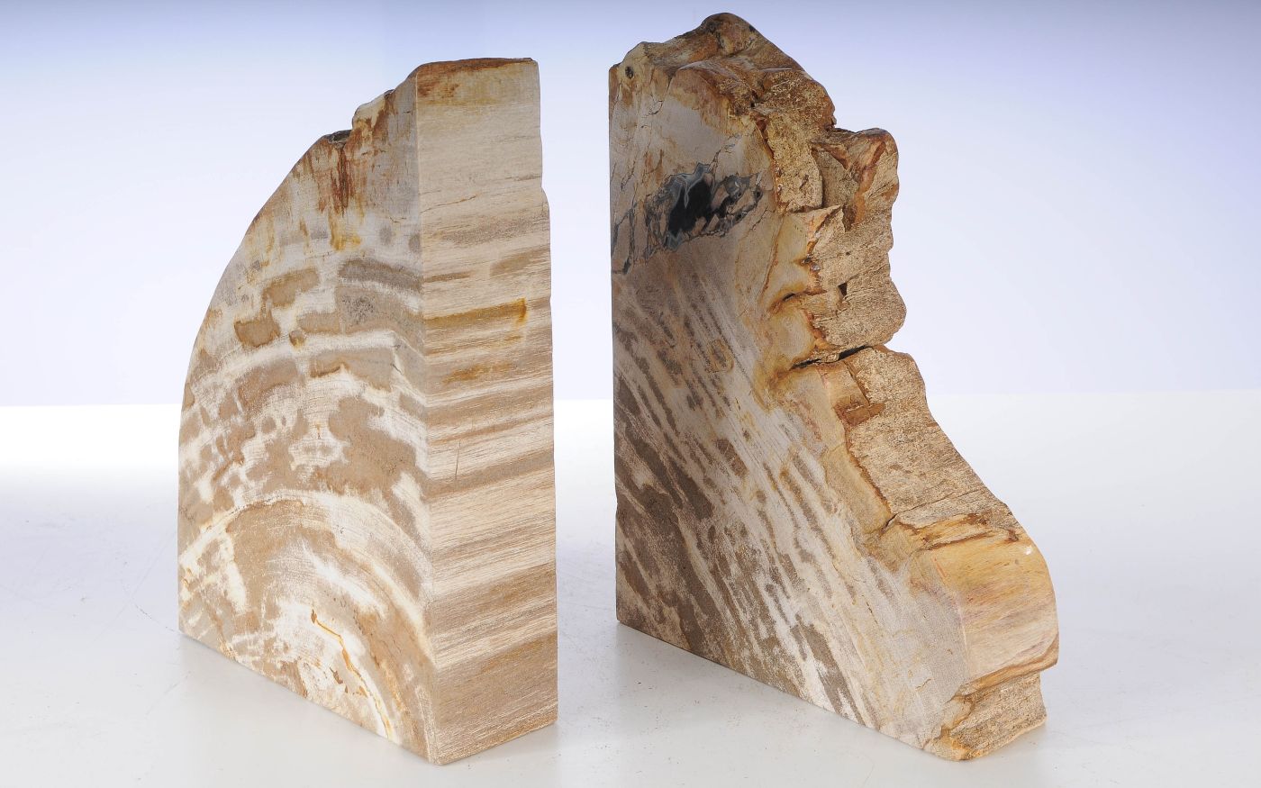 Coppia di fermalibri in legno pietrificato - 53368 - Esotika