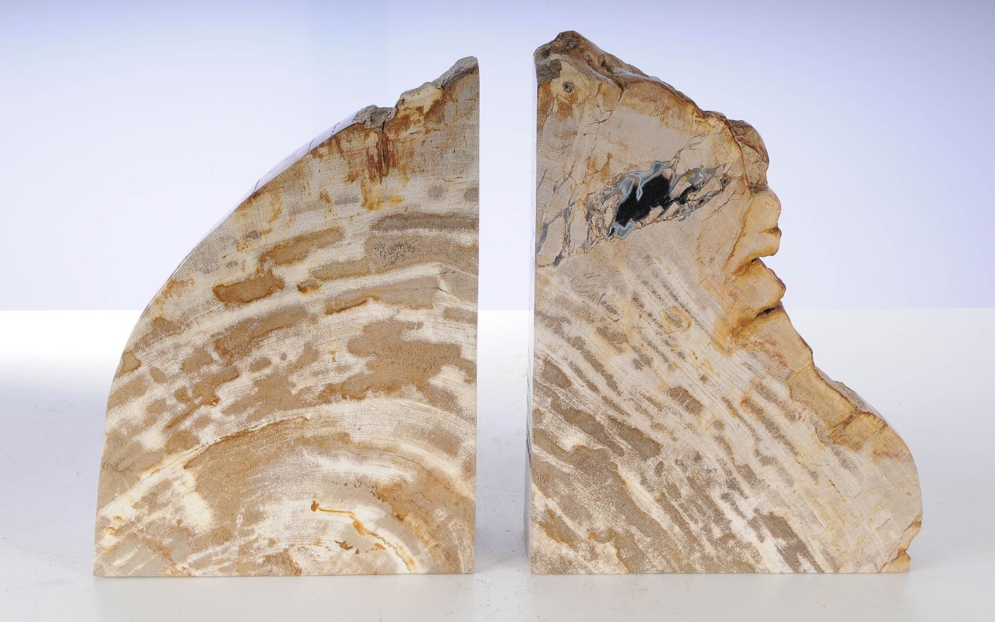 Coppia di fermalibri in legno pietrificato - 53368 - Esotika