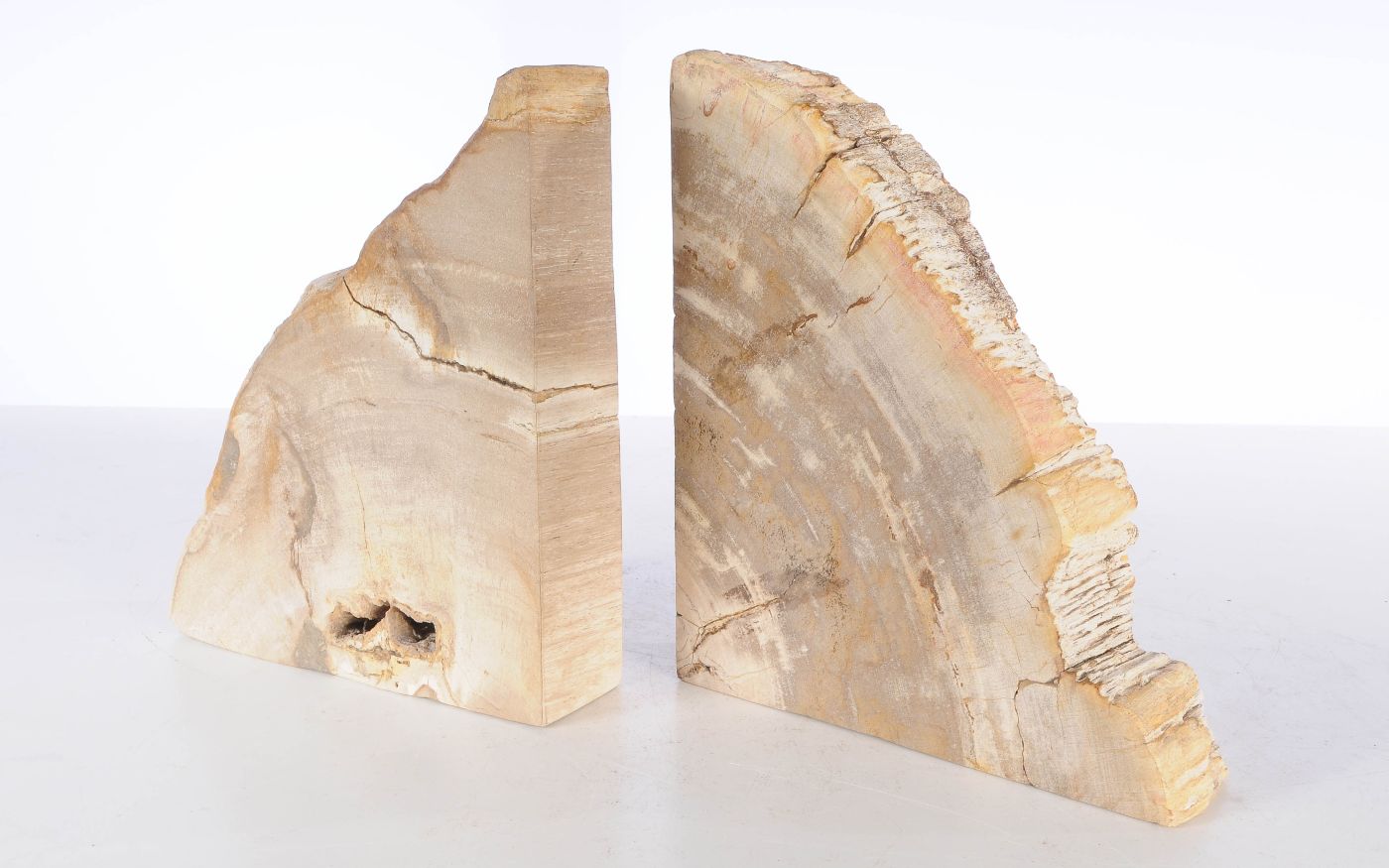 Coppia di fermalibri in legno pietrificato - 53369 - Esotika