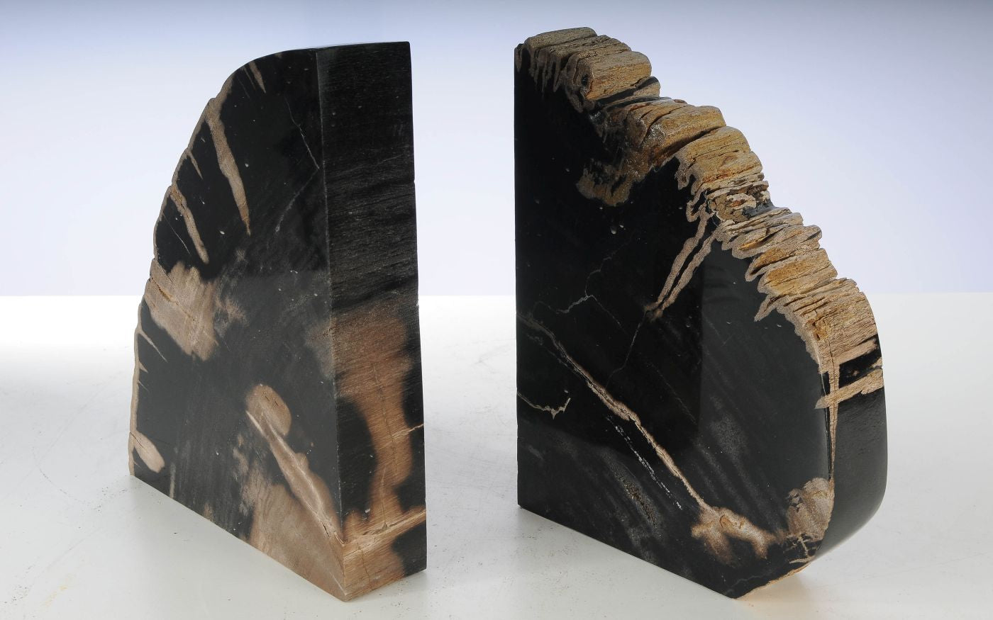 Coppia di fermalibri in legno pietrificato - 53381 - Esotika