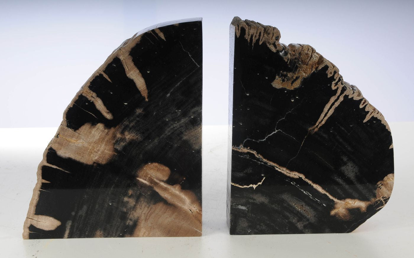 Coppia di fermalibri in legno pietrificato - 53381 - Esotika