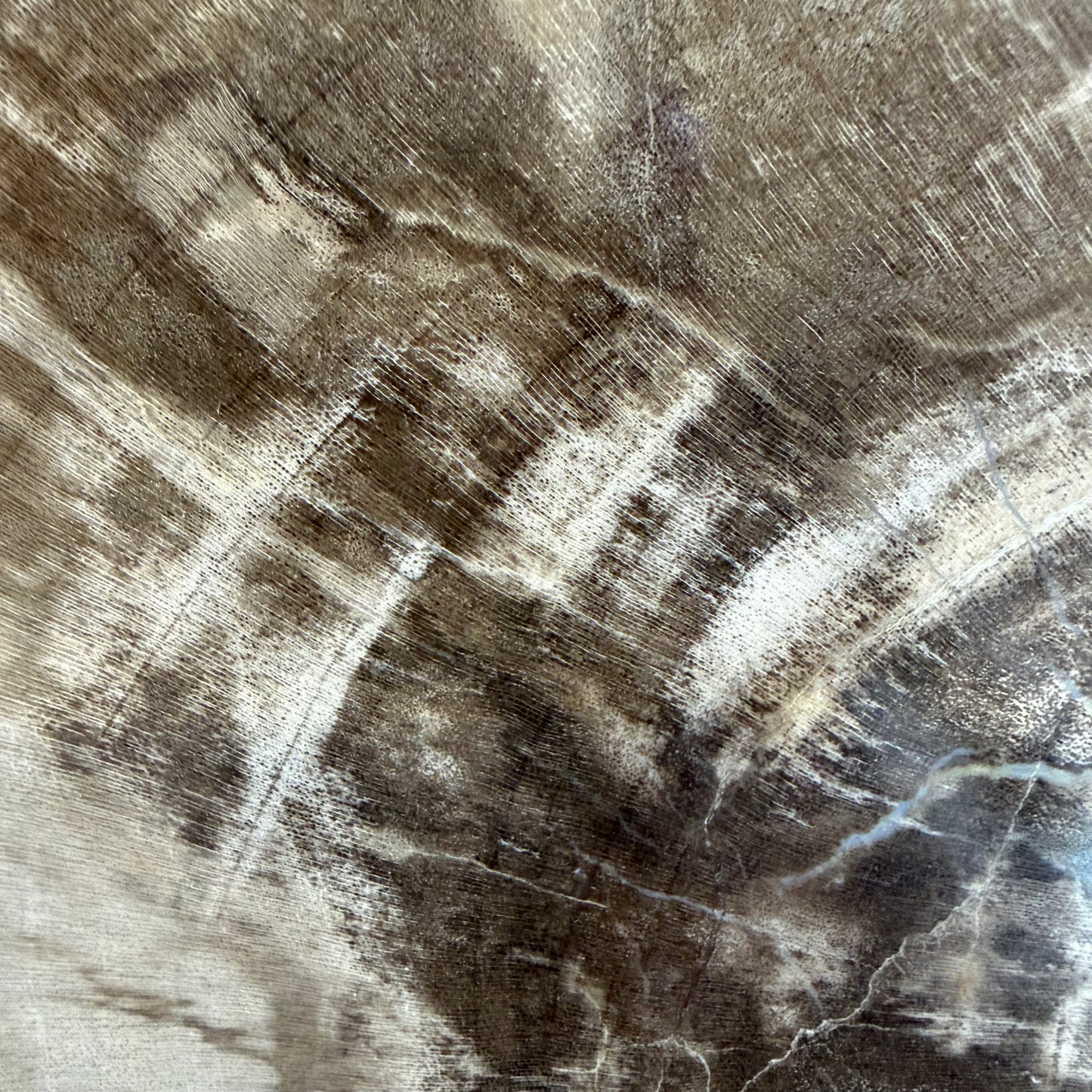 Lastra per tavolino in legno fossile - 50003 C