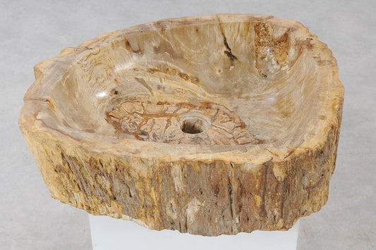 Lavandino da appoggio in legno pietrificato - 55283