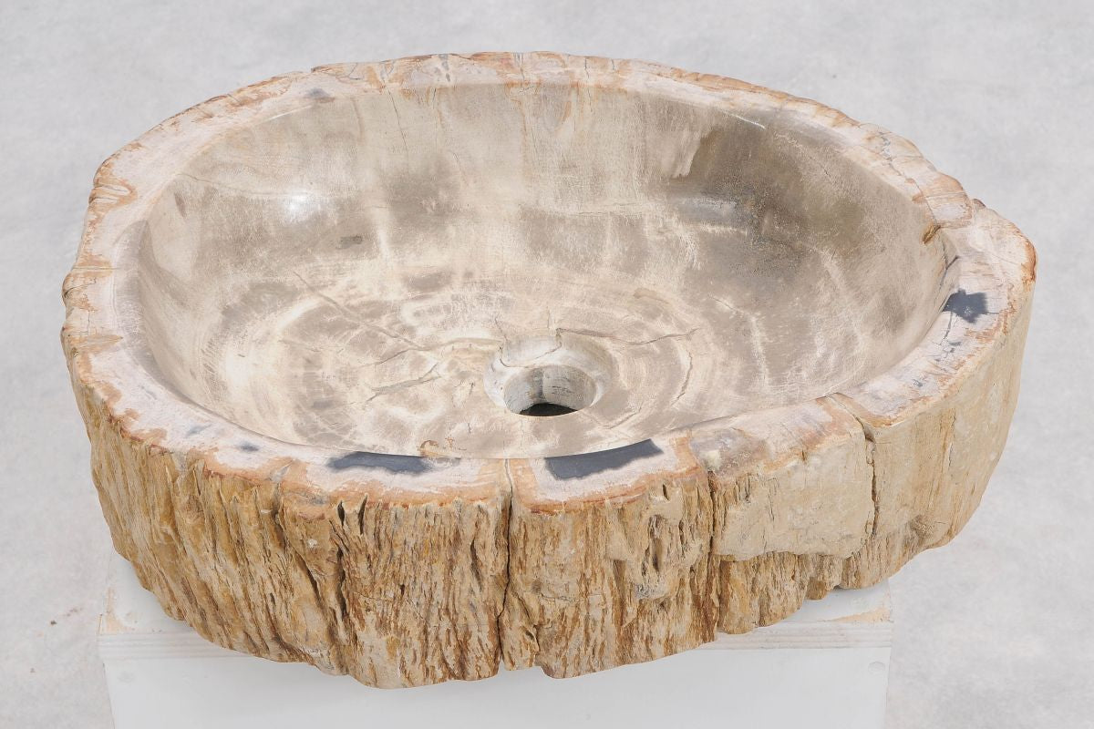 Lavandino in legno pietrificato - 50241