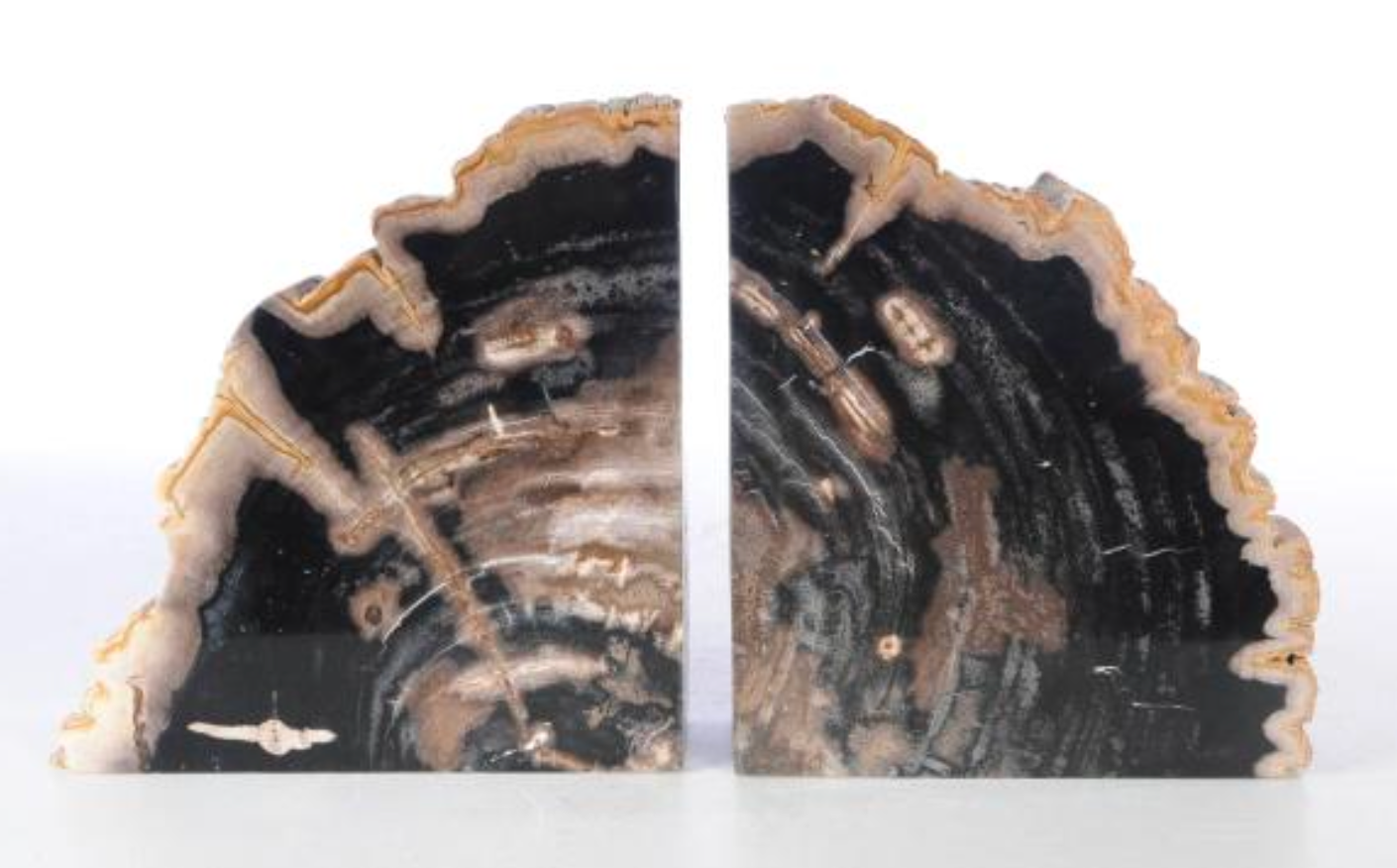 Coppia di fermalibri in legno pietrificato - 53379