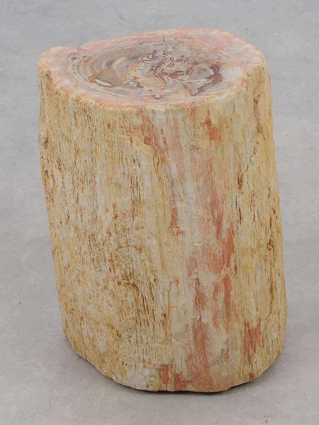 Tavolino tronco in legno pietrificato - 51036 - Esotika