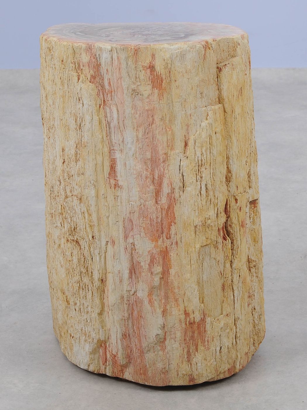 Tavolino tronco in legno pietrificato - 51036 - Esotika