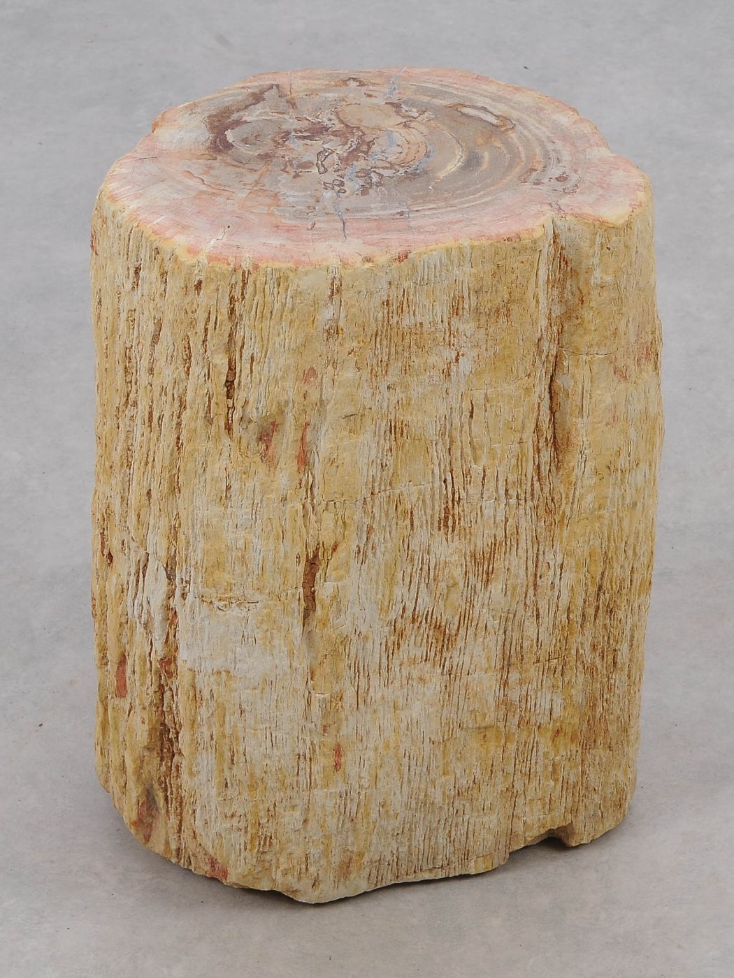 Tavolino tronco in legno pietrificato - 51036 - Esotika