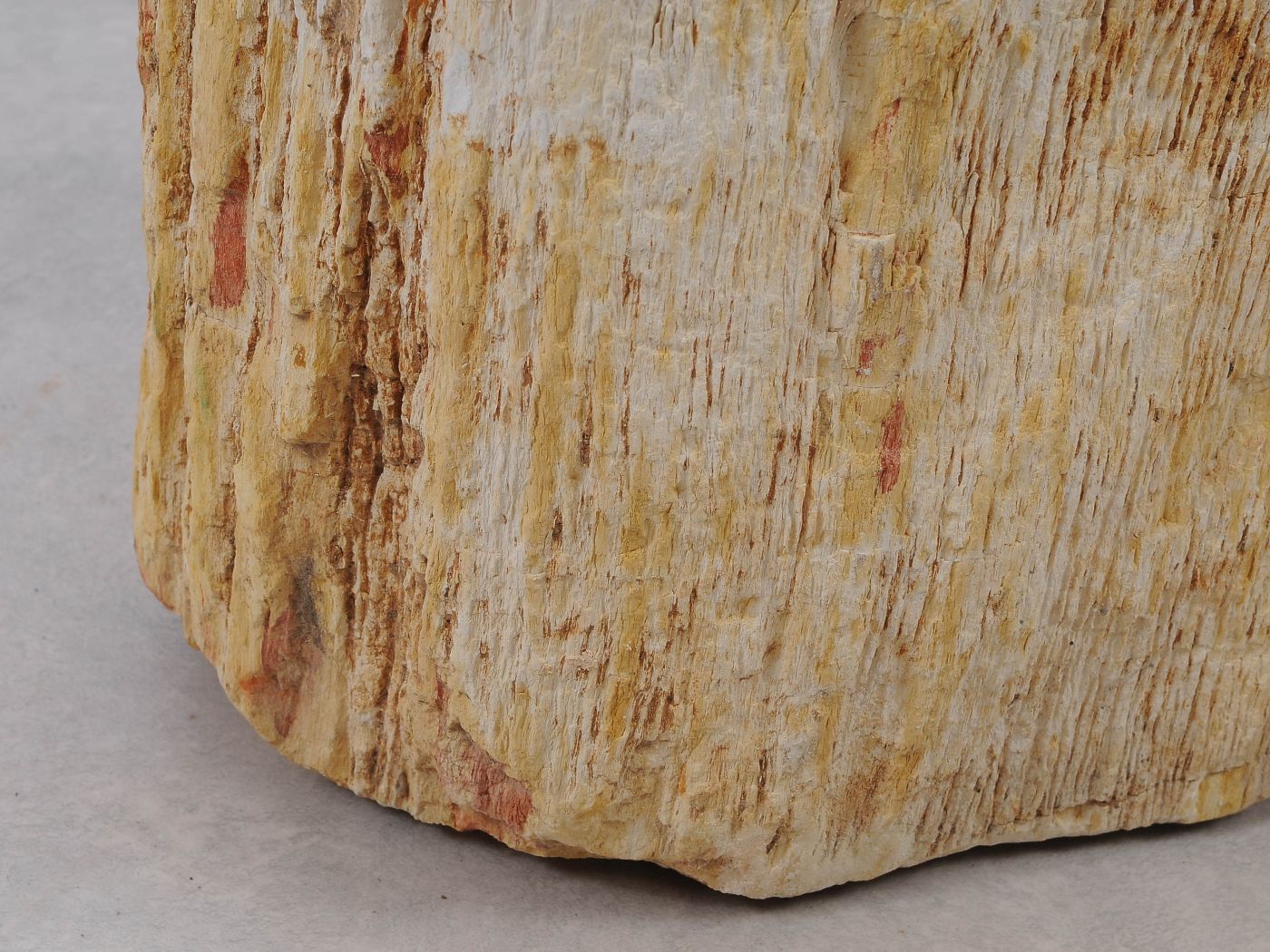 Tavolino tronco in legno pietrificato - 51036