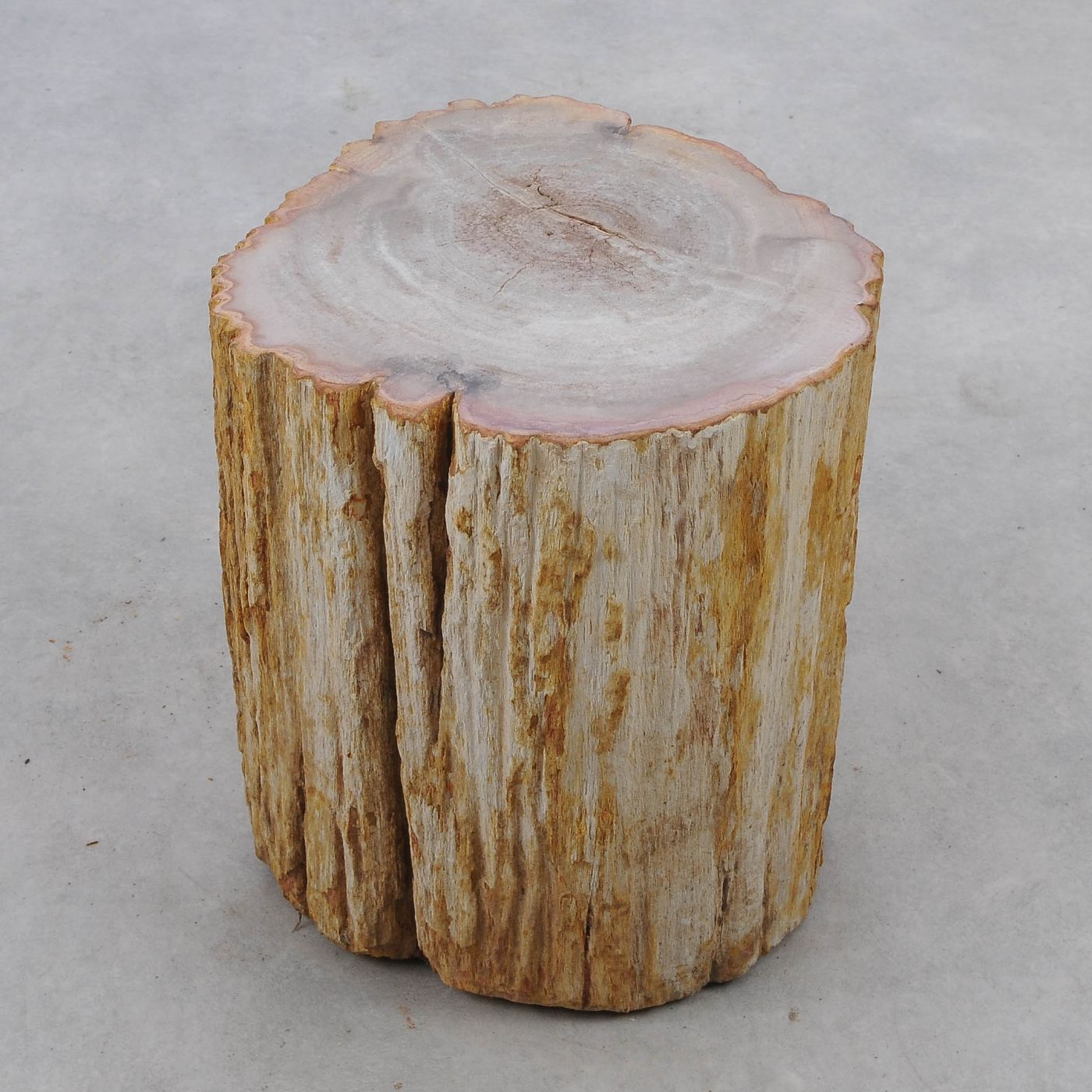 Tavolino tronco in legno pietrificato - 51048 - Esotika