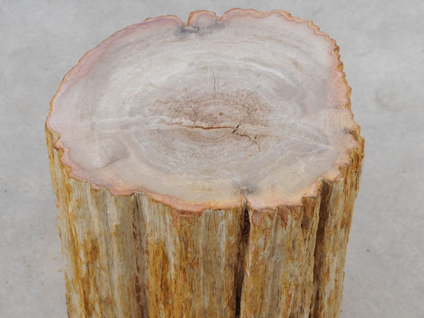 Tavolino tronco in legno pietrificato - 51048 - Esotika