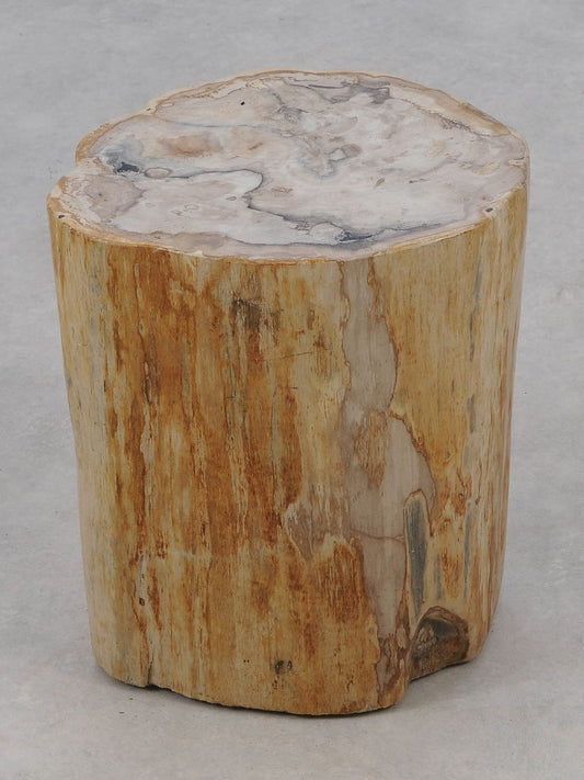 Tavolino tronco in legno pietrificato - 51326 - Esotika