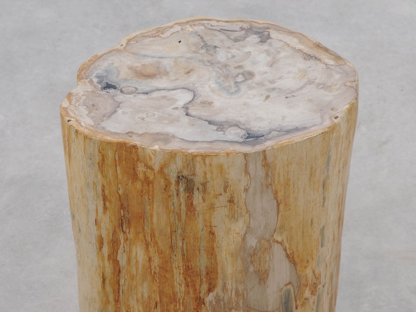 Tavolino tronco in legno pietrificato - 51326 - Esotika