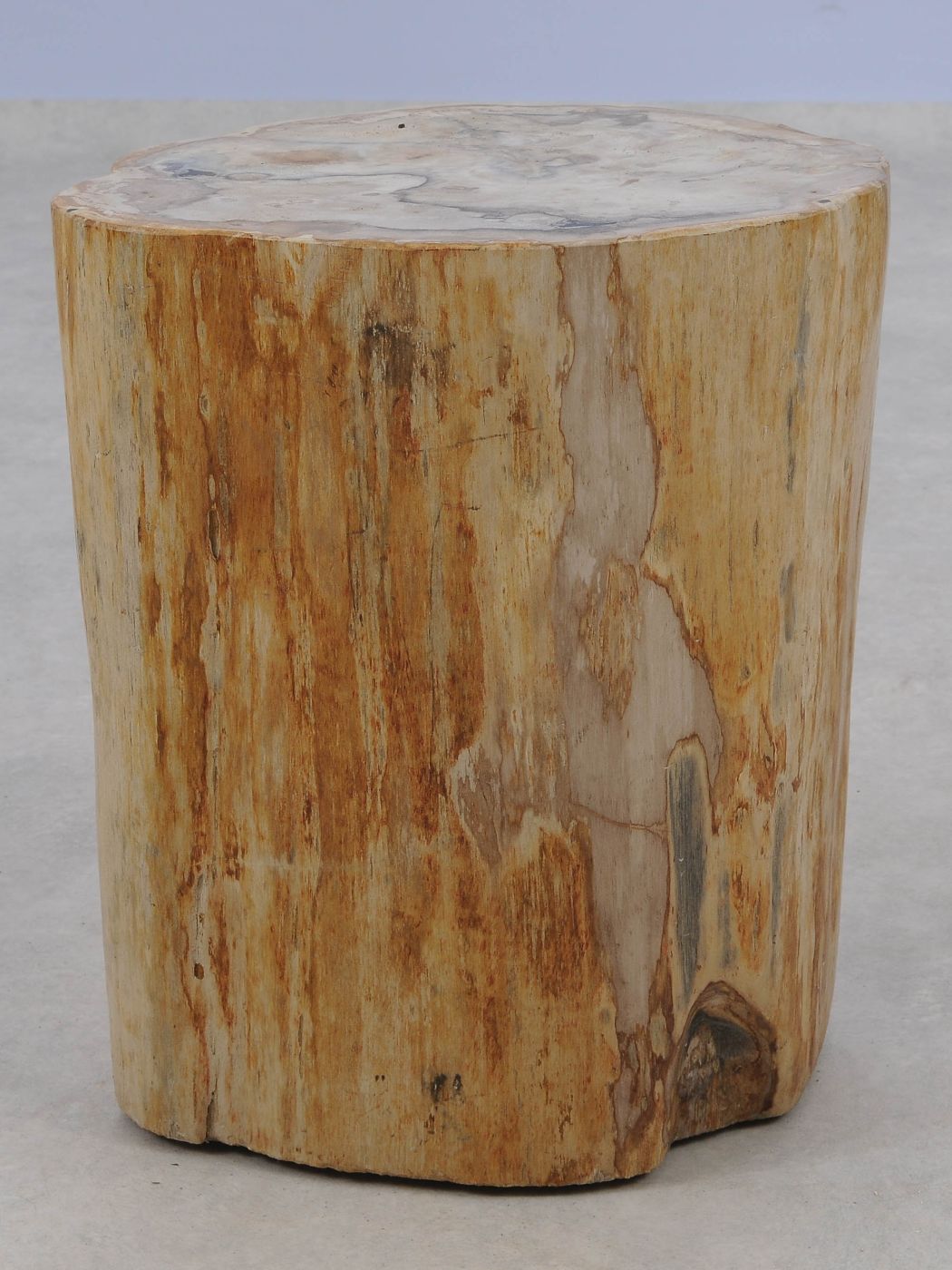 Tavolino tronco in legno pietrificato - 51326 - Esotika