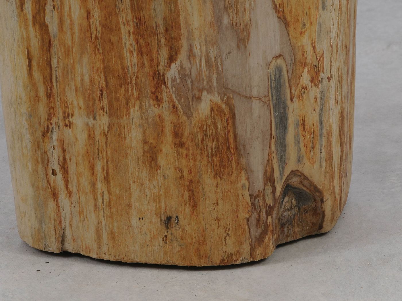 Tavolino tronco in legno pietrificato - 51326 - Esotika