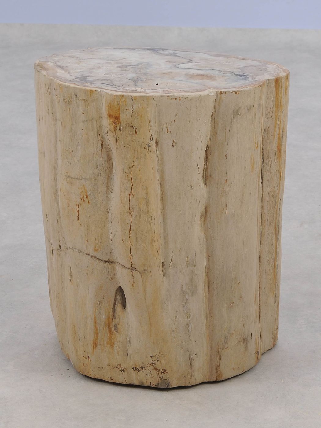 Tavolino tronco in legno pietrificato - 51326