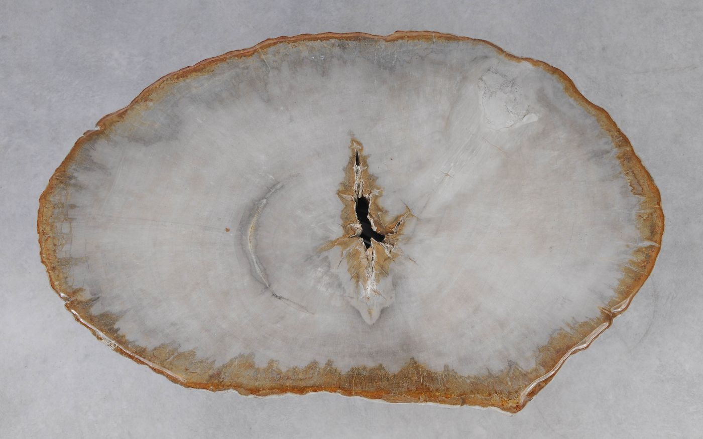 Tavolino caffé in legno pietrificato - 53213 - Esotika