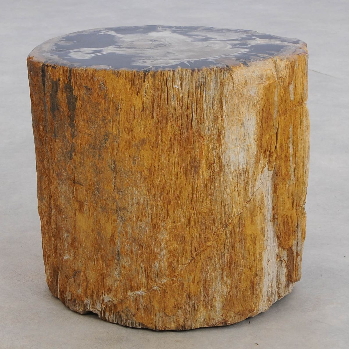 Tavolino tronco in legno pietrificato - 48039