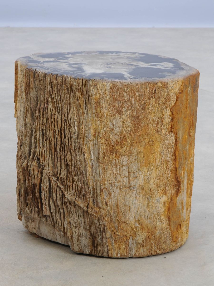 Tavolino tronco in legno pietrificato - 48039