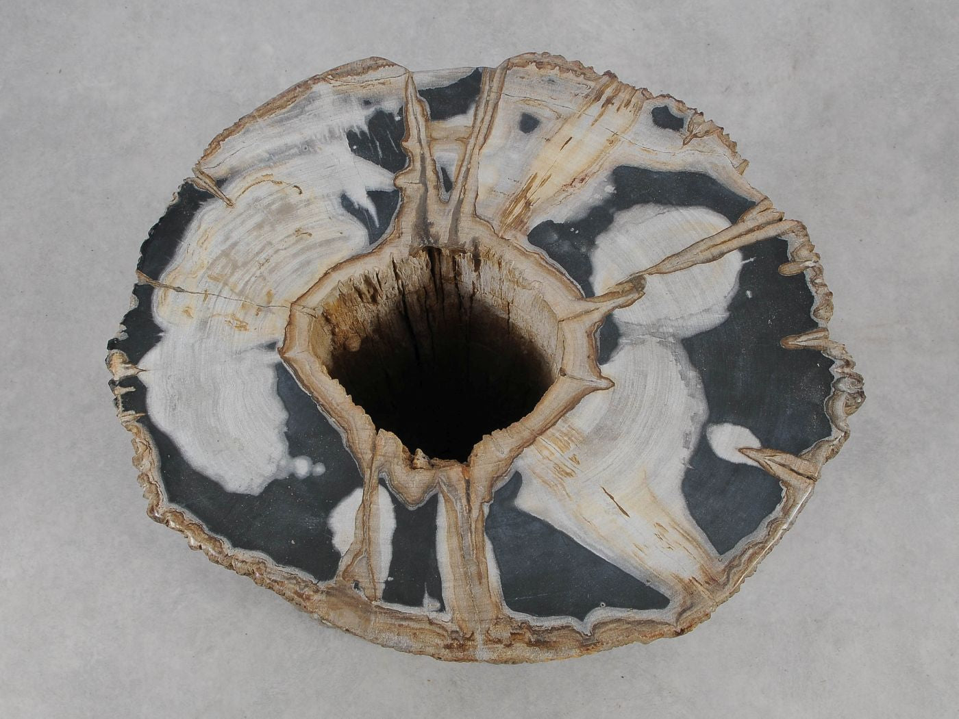 Tavolino tronco in legno pietrificato - 51325