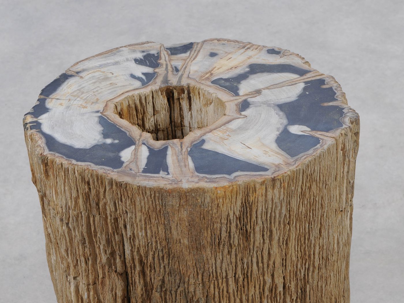 Tavolino tronco in legno pietrificato - 51325