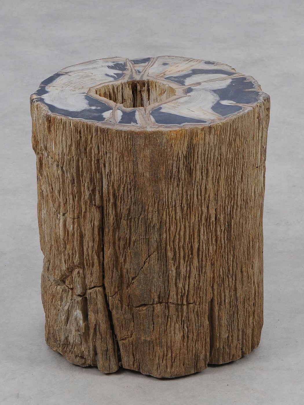 Tavolino tronco in legno pietrificato - 51325