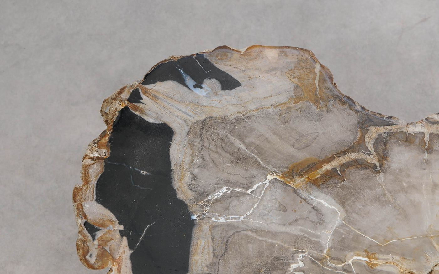 Tavolino caffé in legno pietrificato - 57266 - Esotika