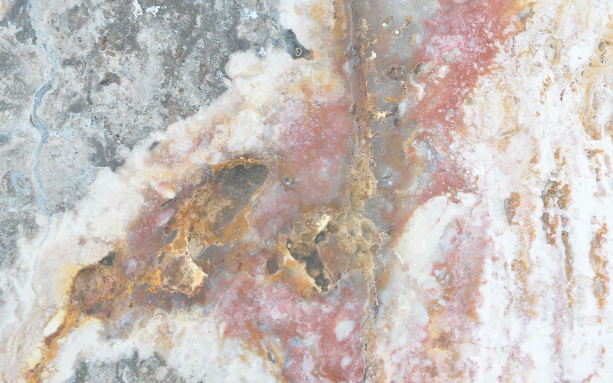 Lastra per tavolino in legno fossile - 43265