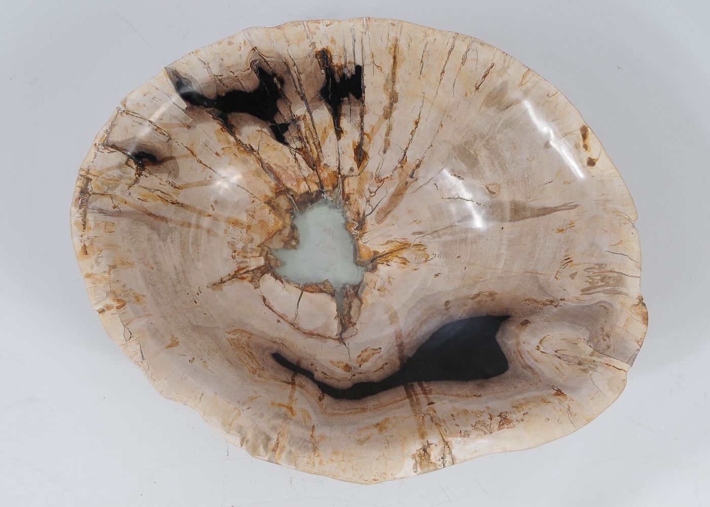 Ciotola in legno fossile - 52363