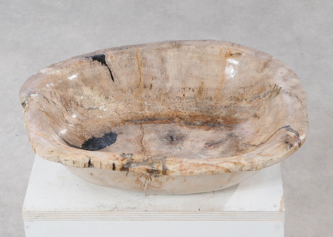 Ciotola in legno fossile - 54283