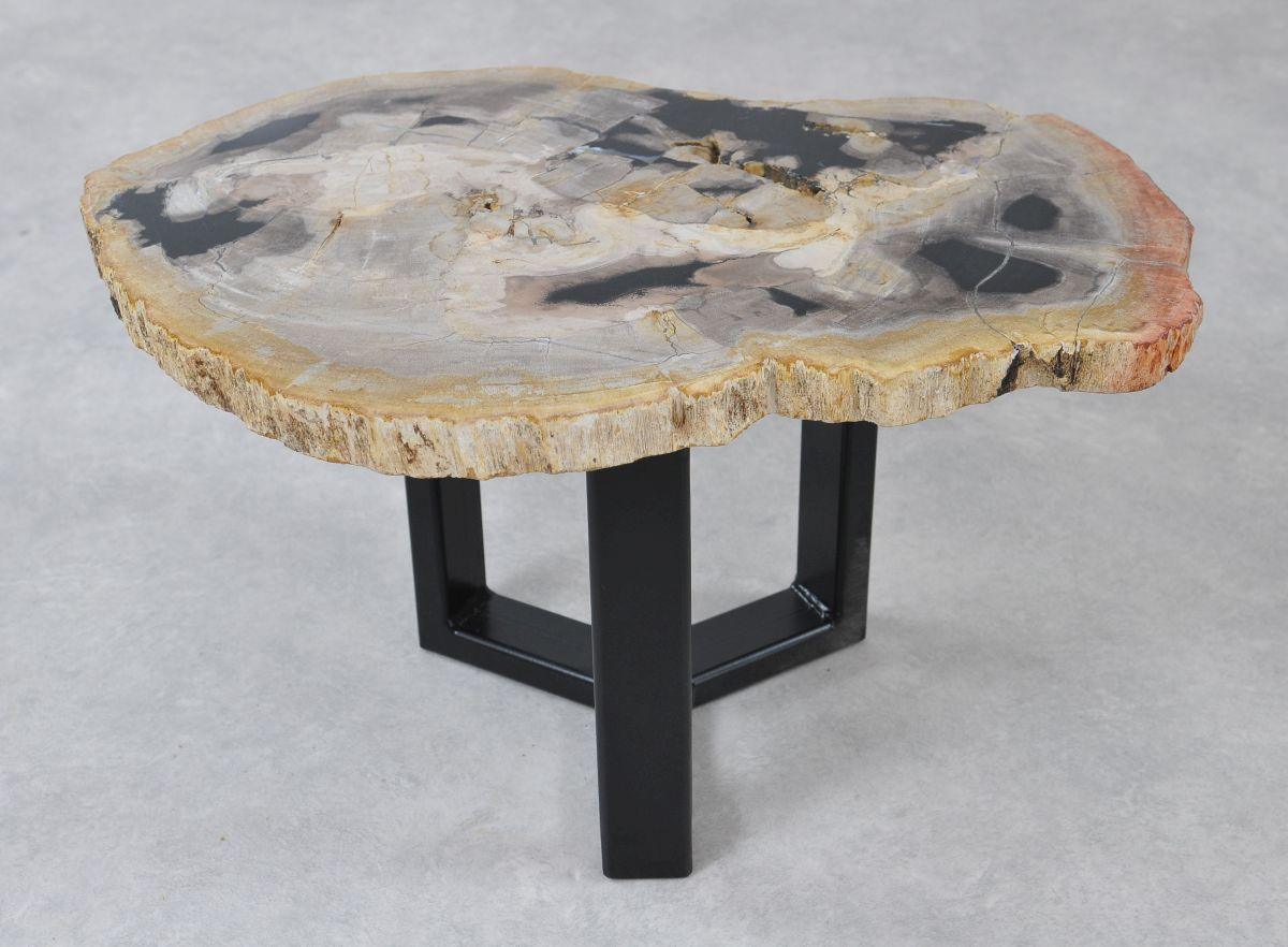 Tavolino caffè in legno pietrificato - 36221 - Esotika
