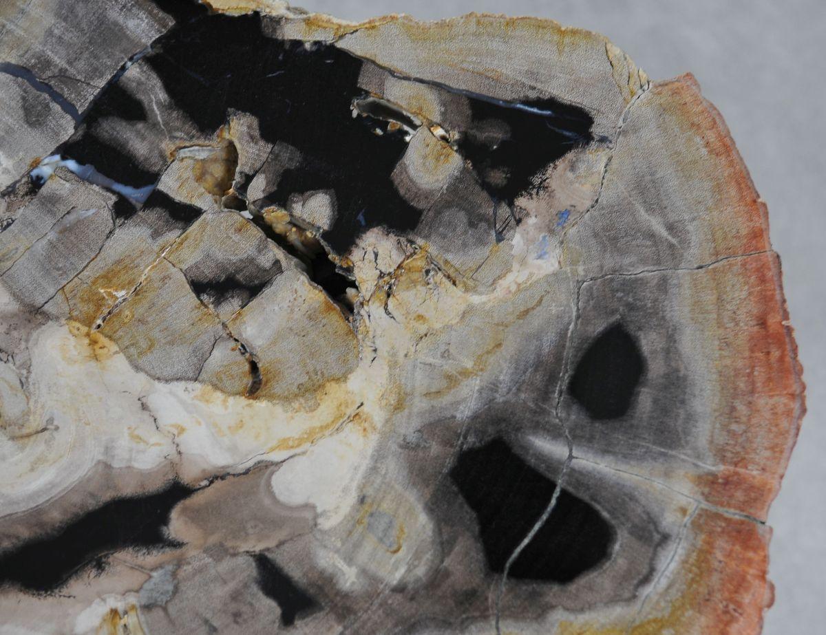 Tavolino caffè in legno pietrificato - 36221 - Esotika