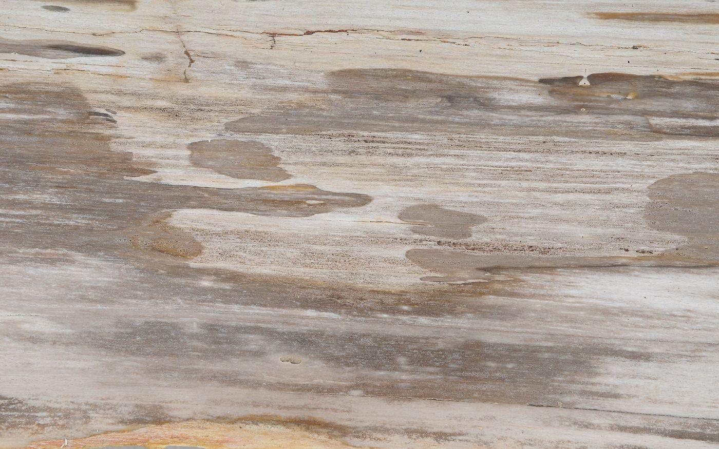 Tavolo consolle in legno pietrificato - 55500 - Esotika