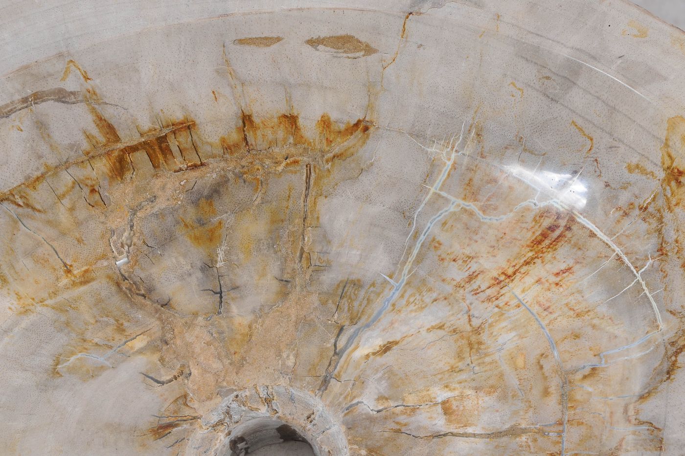 Lavandino da appoggio in legno pietrificato - 55278