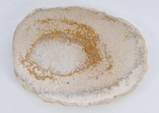 Ciotola in legno pietrificato - 41015b